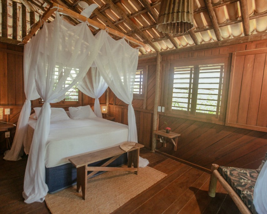 Tatu Bola - Barrinha dos Ventos